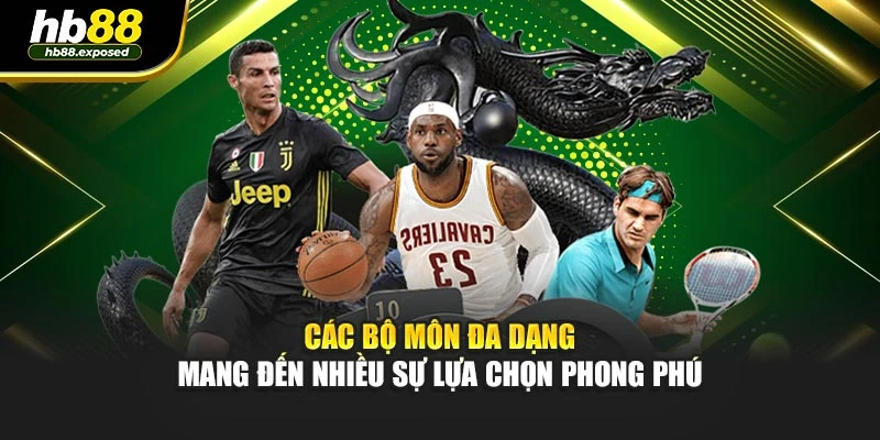 Các bộ môn đa dạng mang đến nhiều sự lựa chọn phong phú
