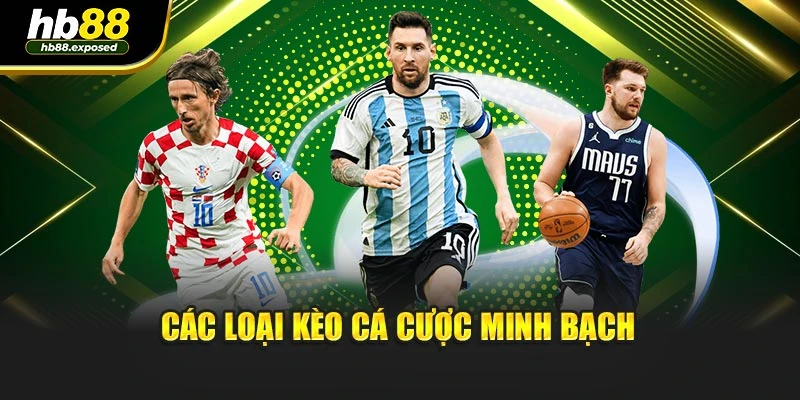 Các loại kèo cá cược minh bạch