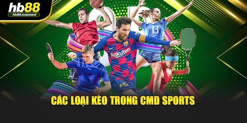 Các loại kèo trong cmd sports