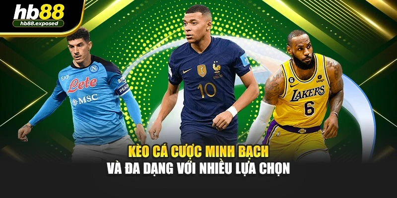 Kèo cá cược minh bạch và đa dạng với nhiều lựa chọn