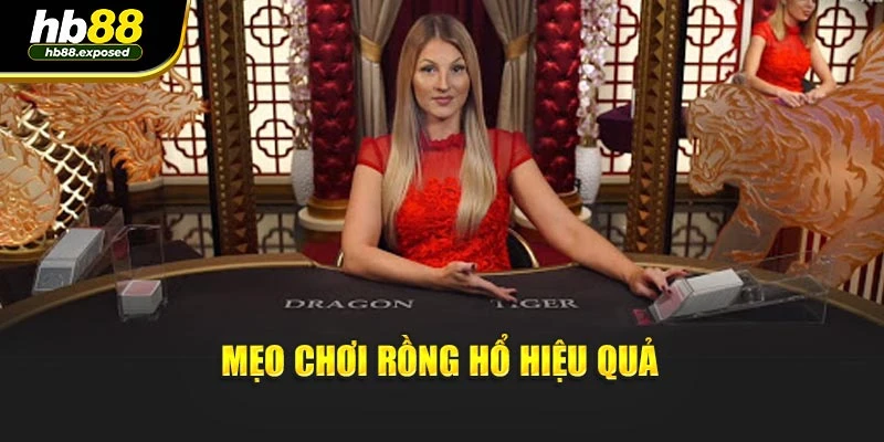 Mẹo chơi rồng hổ hiệu quả