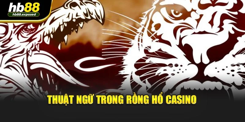 Thuật ngữ trong rồng hổ casino