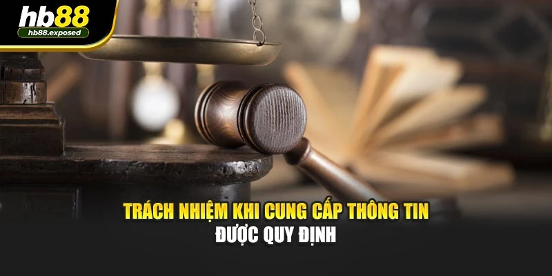 Trách nhiệm khi cung cấp thông tin được quy định